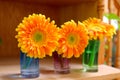 Three colorful flowers on the desk.