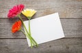 Three colorful gerbera flowers and blank greeting card Royalty Free Stock Photo