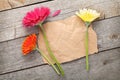 Three colorful gerbera flowers with paper for copy space