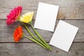 Three colorful gerbera flowers and photo frame Royalty Free Stock Photo