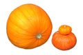 Three colorful orange ripe pumpkins, different sizes. Isolated
