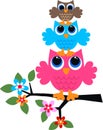 Three colorful owls