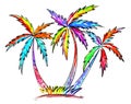 three colorful palm trees on a white background Royalty Free Stock Photo