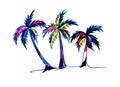 Three colorful palm trees on a white background Royalty Free Stock Photo