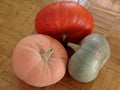 Three colorful pumpkins Royalty Free Stock Photo