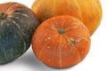 Three colorful pumpkins of different sizes on a white background Royalty Free Stock Photo