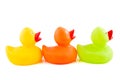 Three colorful rubber ducks Royalty Free Stock Photo