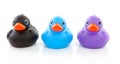 Three colorful rubber ducks Royalty Free Stock Photo