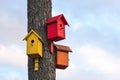 Three of colorful wooden birdhouses on a tree against summer blue sky Royalty Free Stock Photo