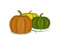 The three colors of pumpkins