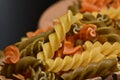 Three Colors Rotini Pasta. Twisted colored pasta in Italy. On a black background