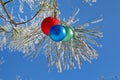 Three colour balls on a fur-tree