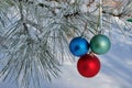 Three colour balls on a pine branch