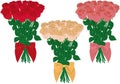 Three colour types rose bouquets vector illustration