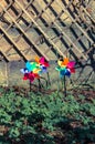 Three coloured pinwheels in a garden Royalty Free Stock Photo