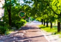 Three coloured translucent soap bubbles Royalty Free Stock Photo