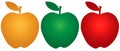 Three colourful apples, vector illustration