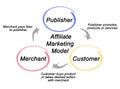 Components of Affiliate Marketing Model