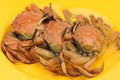 Three Cooked Crab