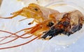 Three cooked Shrimp Heads