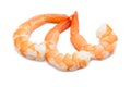 Three cooked unshelled tiger shrimps isolated on white background concept. Royalty Free Stock Photo