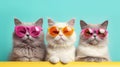 Three cool cats in sunglasses. Illustration AI Generative