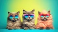 Three cool cats in sunglasses. Illustration AI Generative