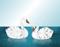 Two White Flower Swans on Lake