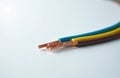 Three-core electrical wire with stripped copper ends lies on light background. Blue, yellow, brown insulation. Close-up view Royalty Free Stock Photo