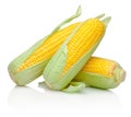 Three corn cob isolated on white background Royalty Free Stock Photo