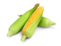 Three corn cob isolated on a white background Royalty Free Stock Photo