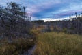 Three Corner Pond walking trail