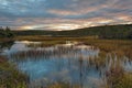 Three Corner Pond walking trail