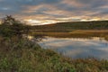 Three Corner Pond walking trail