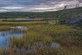 Three Corner Pond walking trail