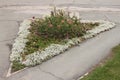 A three-cornered flower-bed with white, pink and purple flowers in the street of Novosibirsk