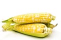 Three corns. Royalty Free Stock Photo