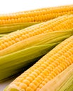 Three corns isolated Royalty Free Stock Photo