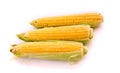Three corns isolated on white Royalty Free Stock Photo