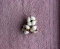 Three cotton flowers on the pink towel background