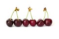 Three couples of connected cherries with a stem in a raw Royalty Free Stock Photo
