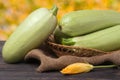 Three courgettes with a flower on sackcloth wooden background Royalty Free Stock Photo