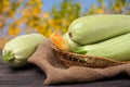 Three courgettes with a flower on sackcloth wooden background Royalty Free Stock Photo