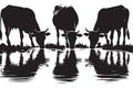 Black Silhouette Cows Drinking Water Reflection Vector Illustration Art Royalty Free Stock Photo