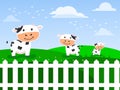Three cows are on a green meadow hill with a white fence in front.