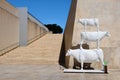 Three cows on top of each other - Valletta Royalty Free Stock Photo