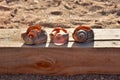 Three cracked seashells on the beach sitting on a wooden background