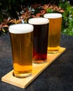 Three Craft Beers out in the summer sun Royalty Free Stock Photo