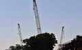 Three cranes at dusk working on high-speed rail