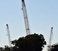 Three cranes hard at work Royalty Free Stock Photo